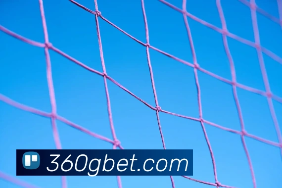 bet365comAPP 封面图